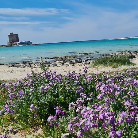 Piccola Residenza Marina Villa Sant Isidoro  Dış mekan fotoğraf
