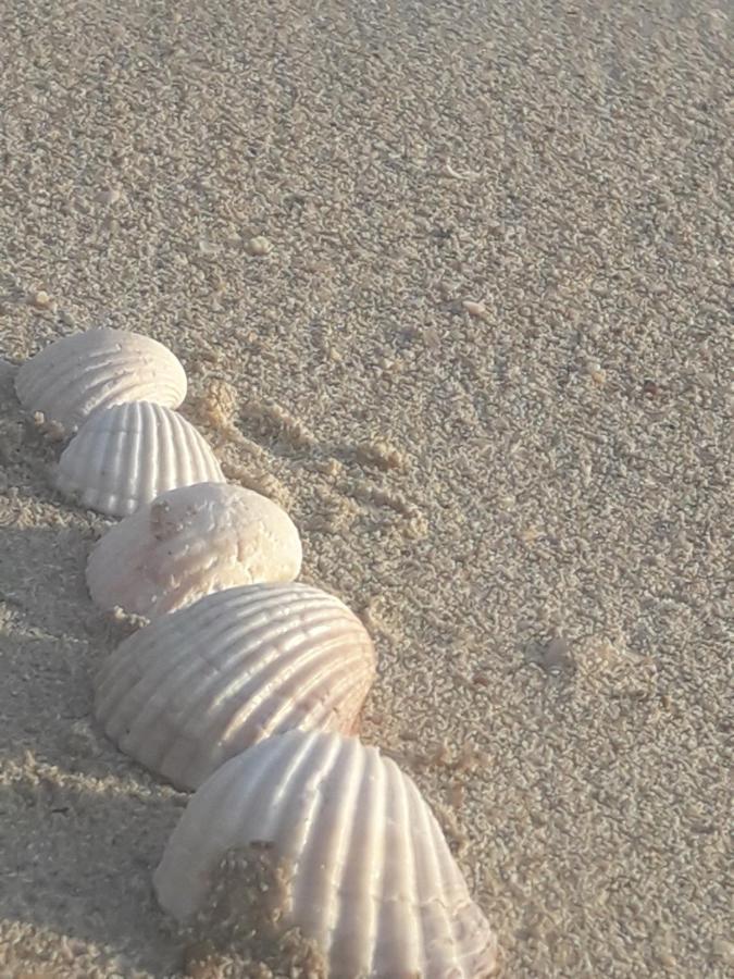 Piccola Residenza Marina Villa Sant Isidoro  Dış mekan fotoğraf